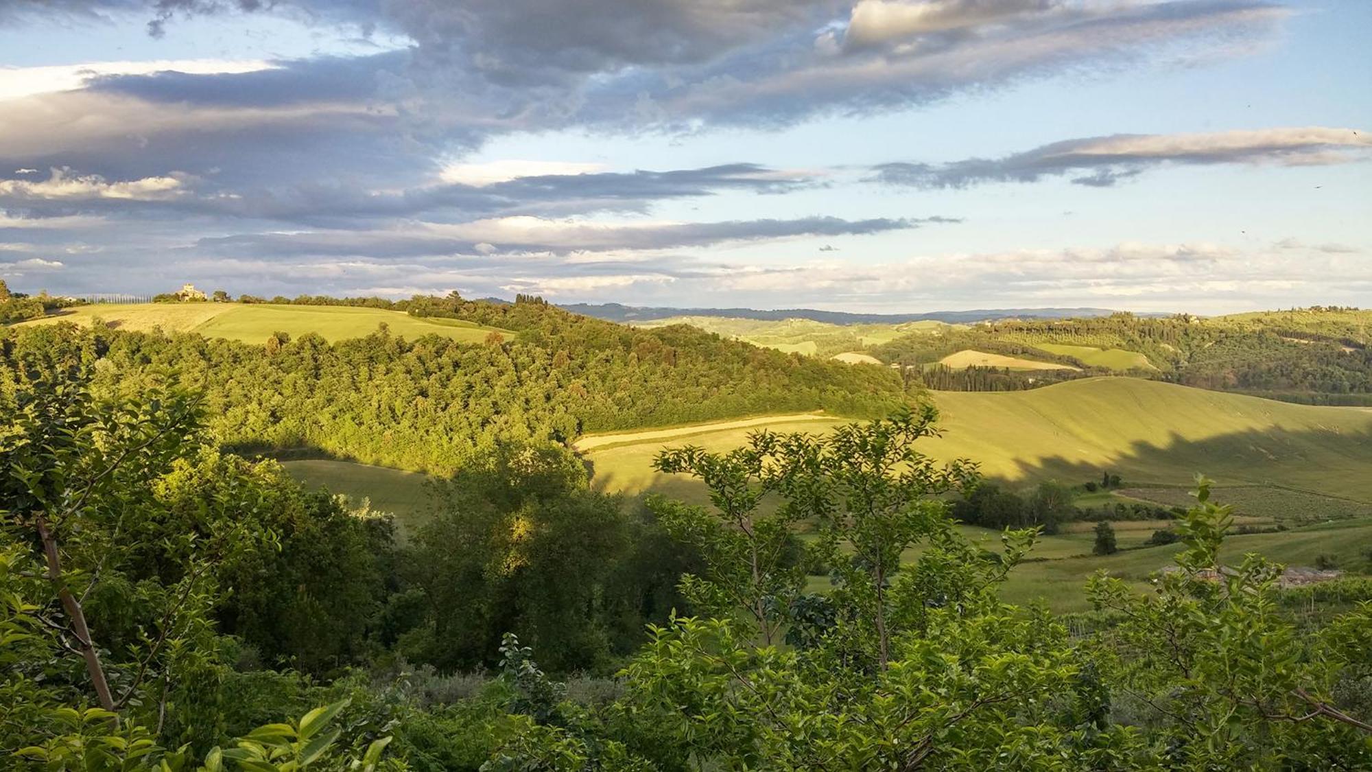 Il Granaio Villa Castelfiorentino Bagian luar foto